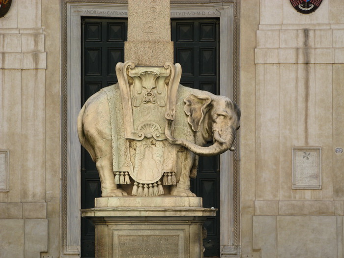 Pulcino della Minerva